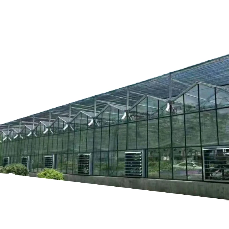 Large size multi-span venlo glass Greenhouse tomato greenhouse and strawberry greenhouse