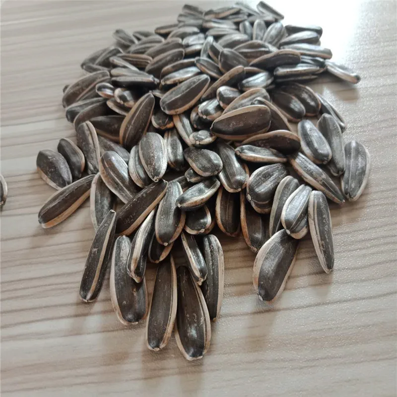 2022 new crop china sunflower seeds type 361 inner mongolia factory