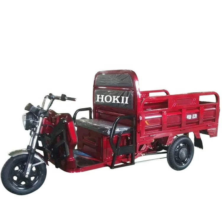 Electric Tricycles Cargo Truck 800w for Adults Without Letters