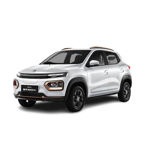 Dong feng Nano Box 2023 издание автомобильные автомобили нано-боксы в наличии высокоскоростной Электрический автомобиль для взрослых