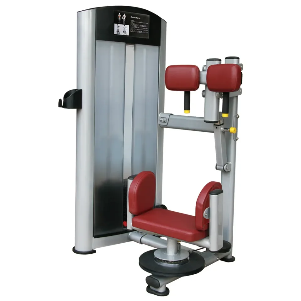 fitness machine/exercise/ Fitness Equipment / bodybuilding/ Torso Rotation(T11-013)
