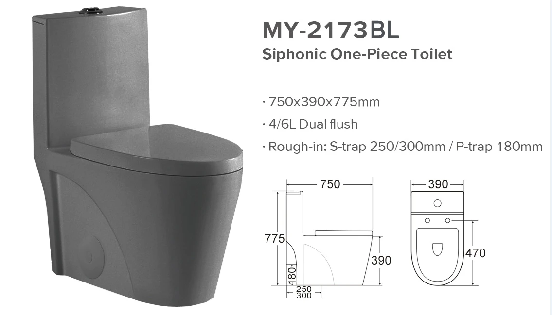 UPC Modern One Piece Design Sanitary Ware Ceramic Dual Flush  White or Black Toilet