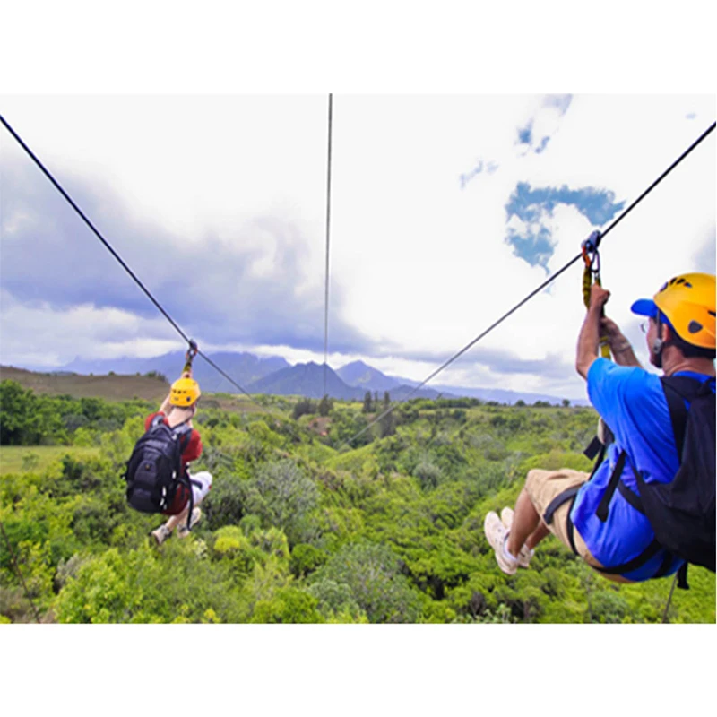  Комплекты канатов ziplines задние дворы игровая площадка парк уличные аксессуары подставка под американские горки zipline zip line для
