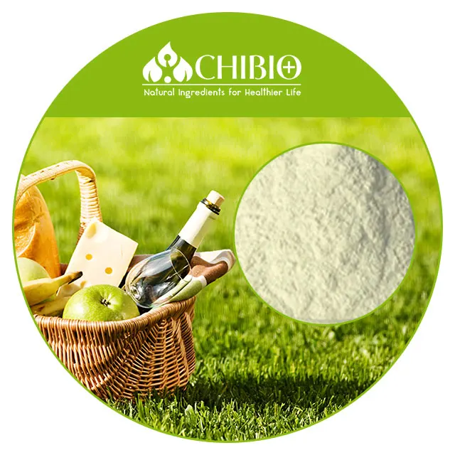 ISO Certificate Food Grade Factory supply Aspergillus niger Chitosan Powder for grape juice making