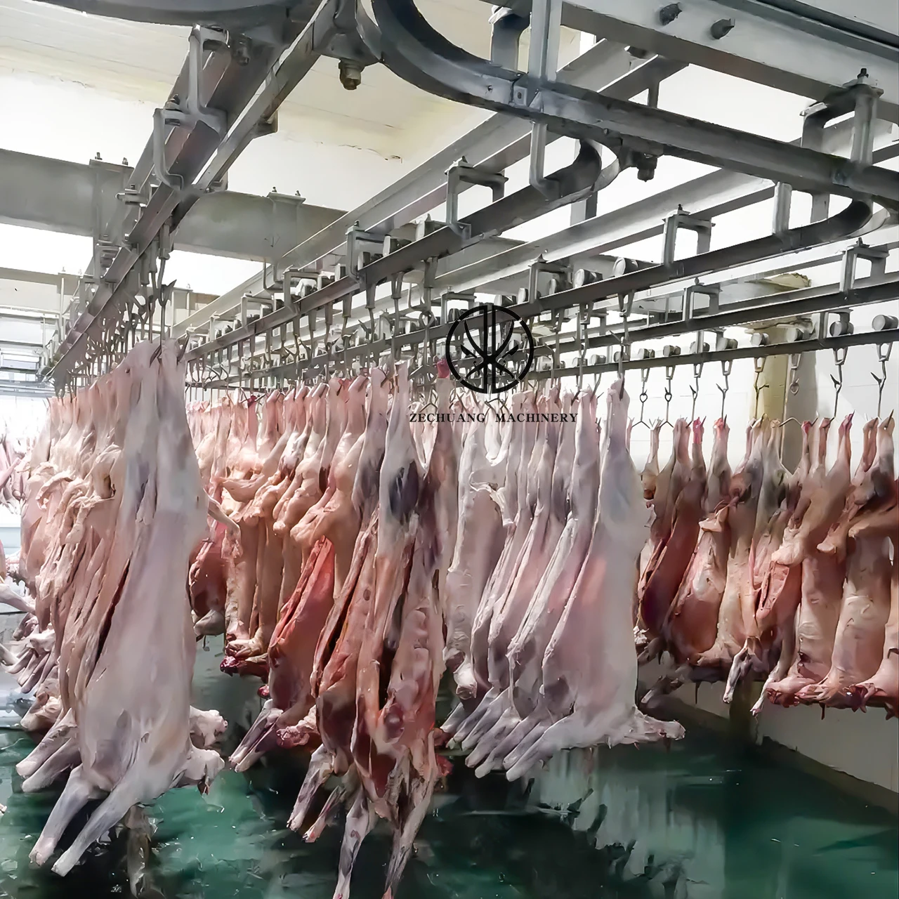 Easy Operate Modern Abattoir Halal Goat Meat Slaughterhouse Equipment Lamb Processing Slaughter Equipment