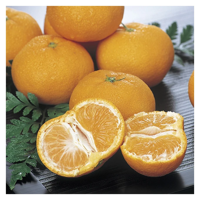 Japanese wholesale bulk fruit related products for agricultural products with good quality