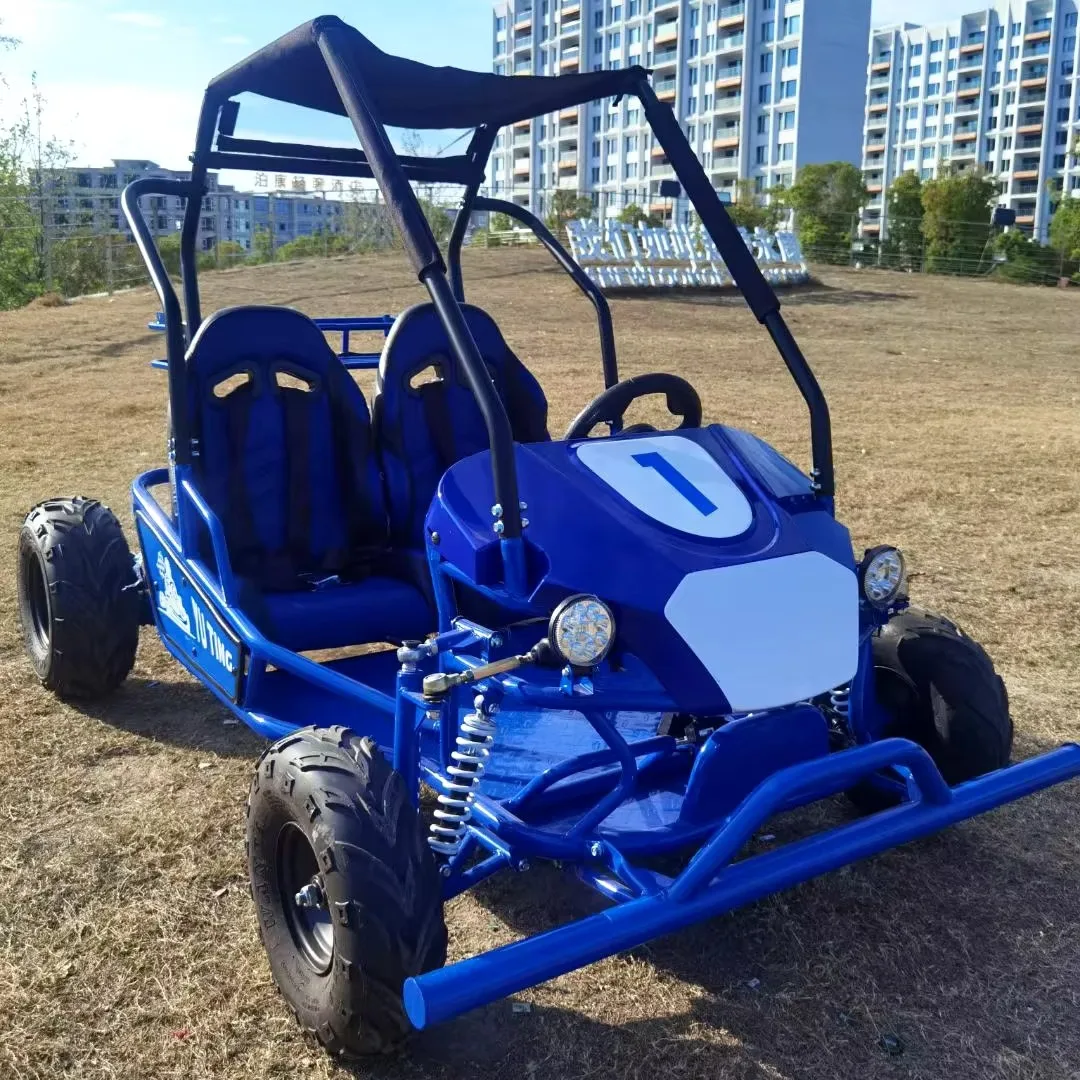 2-Seater Electric Go Kart Buggy Customizable Road Buggy for Parent-Child Hydraulic Disc Brake