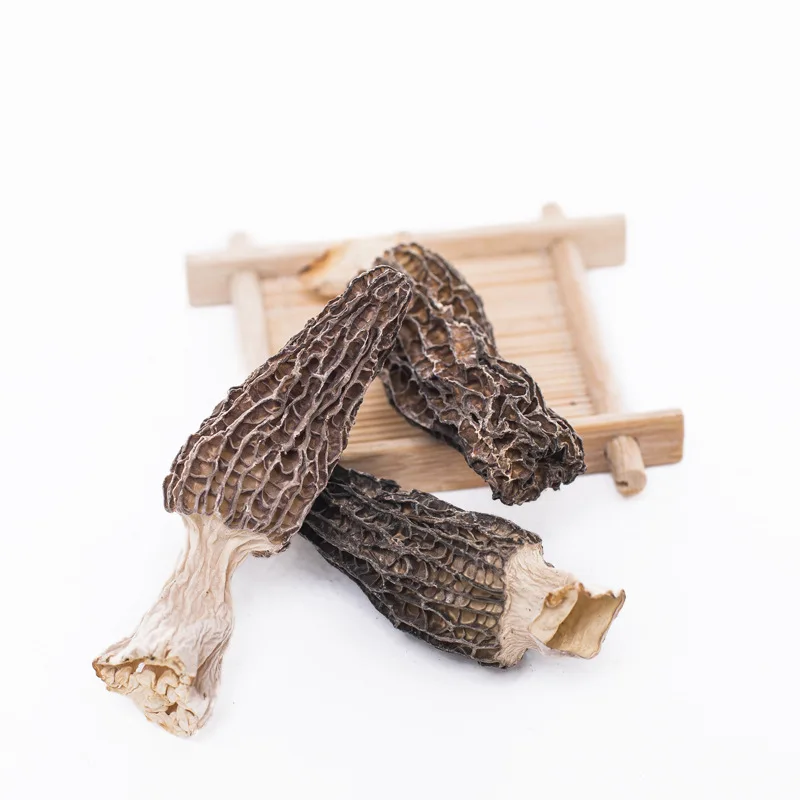 Новый Урожай органических сухих сотовых грибов эскуленты Morchella