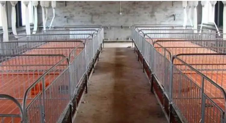 2024 Hot pig and sheep  farm 600*500 plastic floor Standard style Leaky floor Animal feeding floor