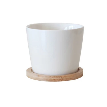 Лучший продавец, разные формы, дополнительная настольная маленькая зеленая горшок для растений, суккулентов, белый керамический цветочный горшок с бамбуковым подносом