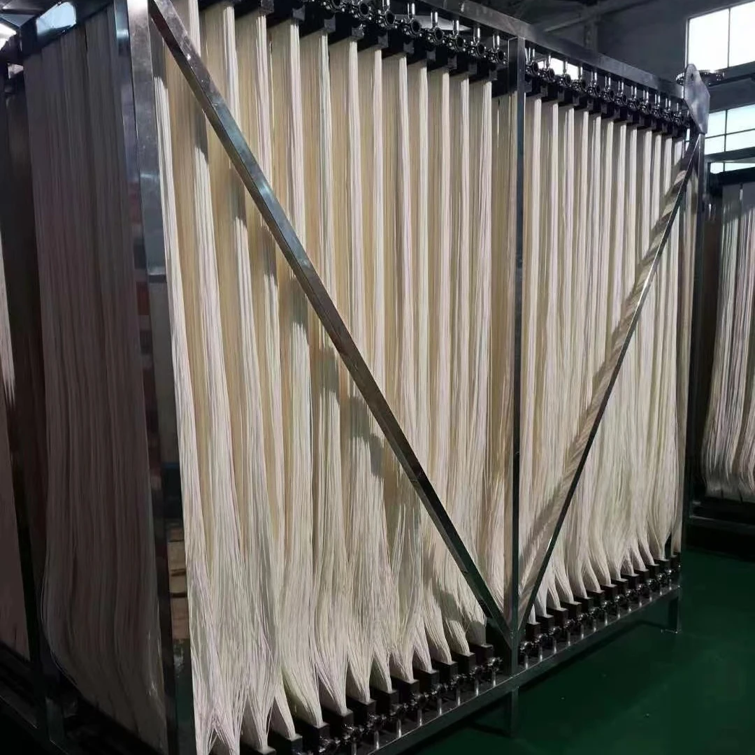 PVDF hollow fiber membrane mbr for waste water/effluent/sewage treatment biogas plant