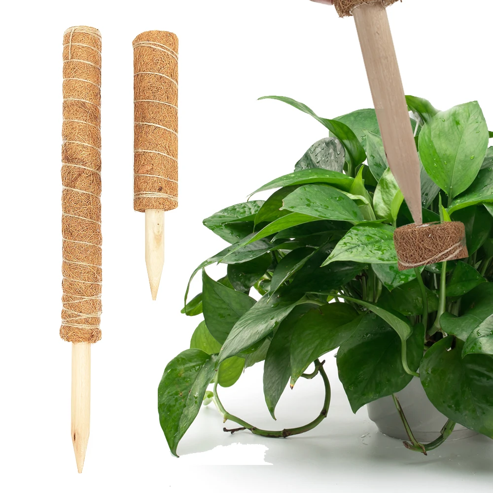 Кокосовые пальмовые палочки для подъема растений, кокосовые пальмовые палочки для растений