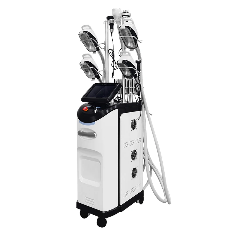 Fat Cell Removal 5 Handles Fat Freezing Cryolipolisis Double Chin criolipolysis 360 cryotherapy Machine