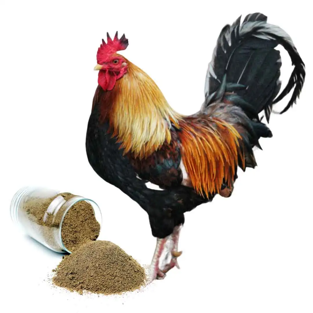 Cricket Powder Dog Food Cricket Flour Health Food Snakes Black Soldier Fly Powder