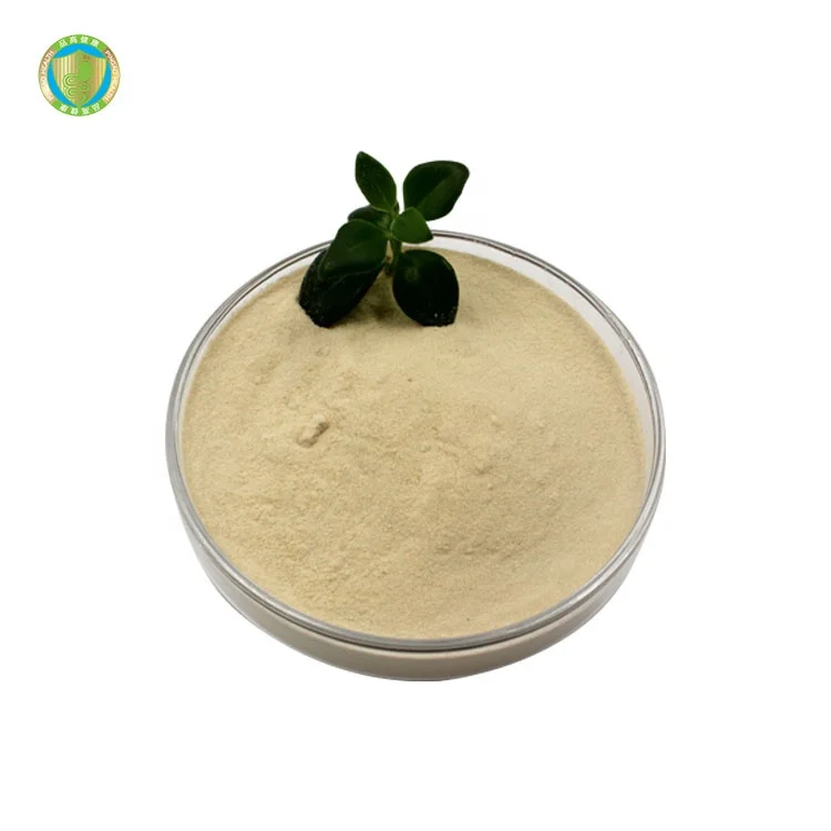 High Quality Enhance Human Immunity Factory Supply Bifidobacterium Breve Probiotics Powder