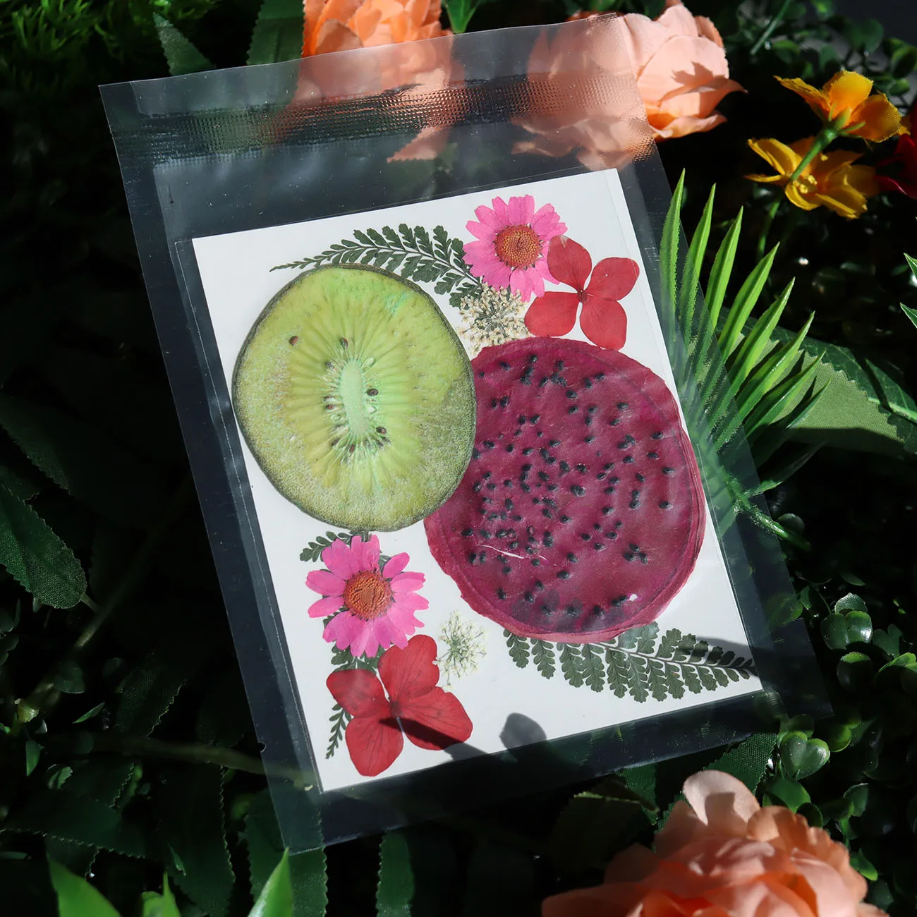 F4 New Design Real Dried Flower Embossed Fresh Fruit Sliced Material Pack Diy Bookmark Drop Glue Dried Flower Phone Case Botanic