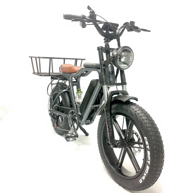 48V 1000W 22Ah Battery 20Inch Full Suspension Electric Fat Tire Family Cargo Bike Bicycle