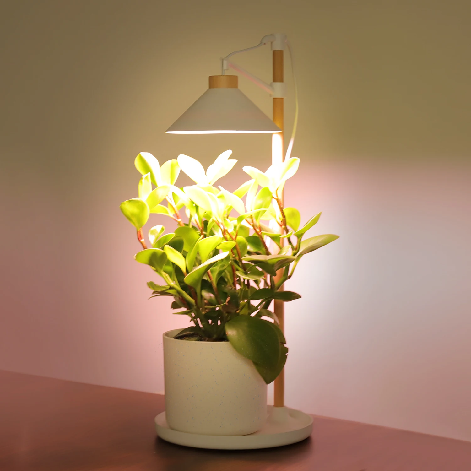 J&C LED indoor grow light full spectrum plant growing Lamp height Adjustable detachable with timer