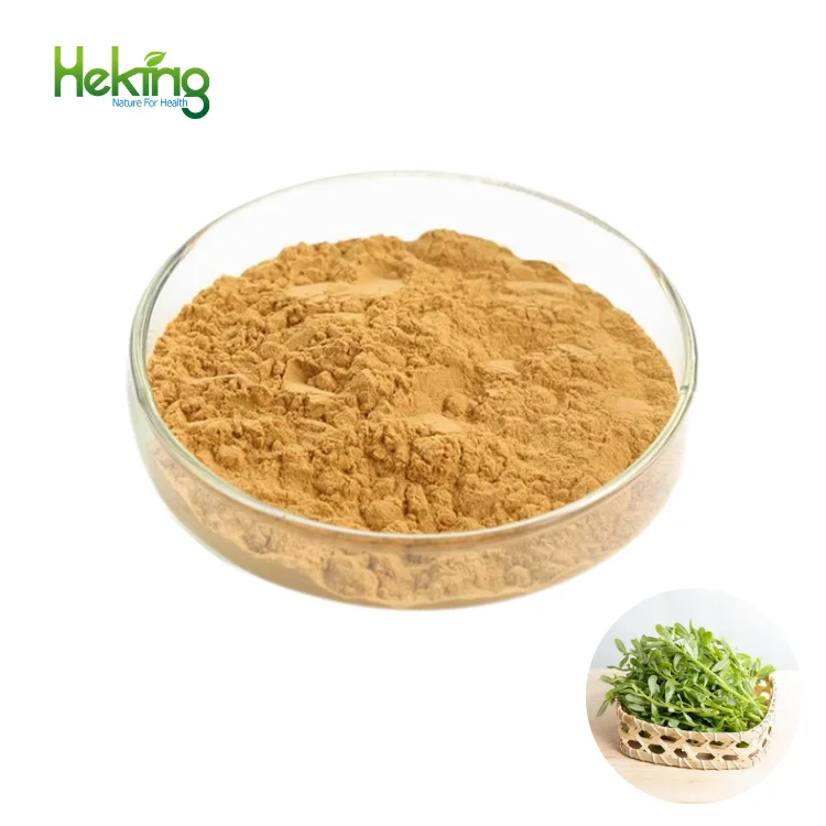 100% природы травы экстракт портулака/Herba Bacopa Monnieri порошок 10: 1/экстракт портулака L растительный экстракт