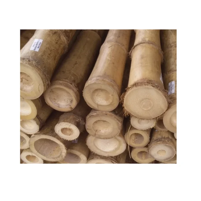 Bamboo products decorative  bamboo poles bamboo raw materials from 99 Gold Data (84 327076054)