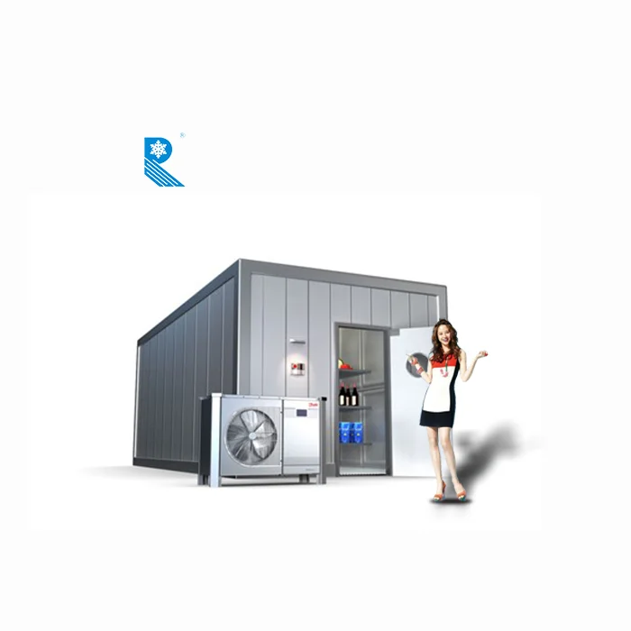 Chicken freezer storage room, cold room data logger, cold freezer room for meat and poultry