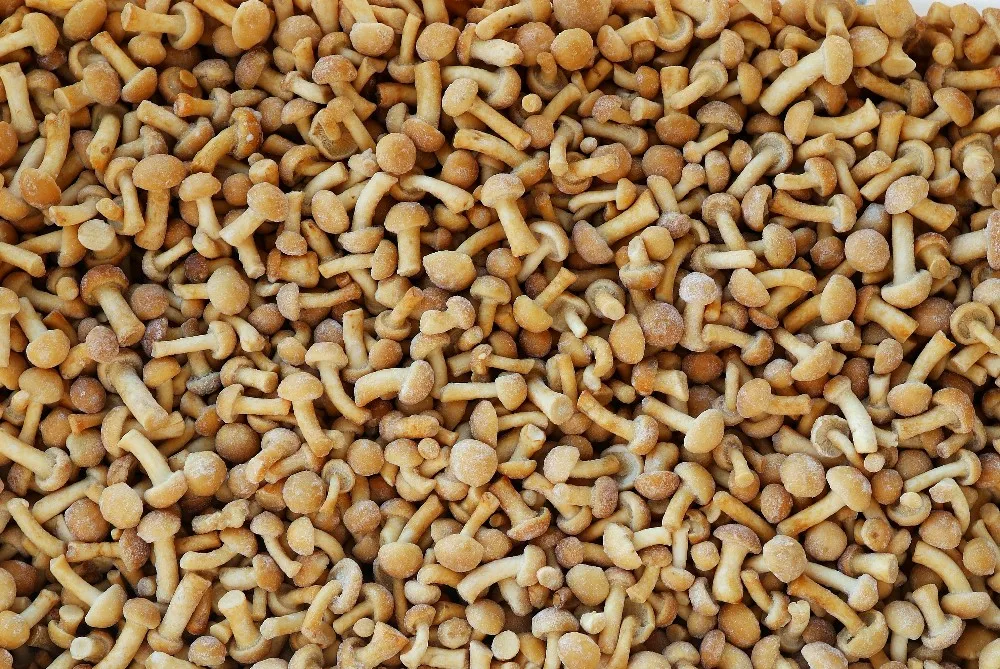 Sinocharm 2021 IQF Japan Nameko high quality