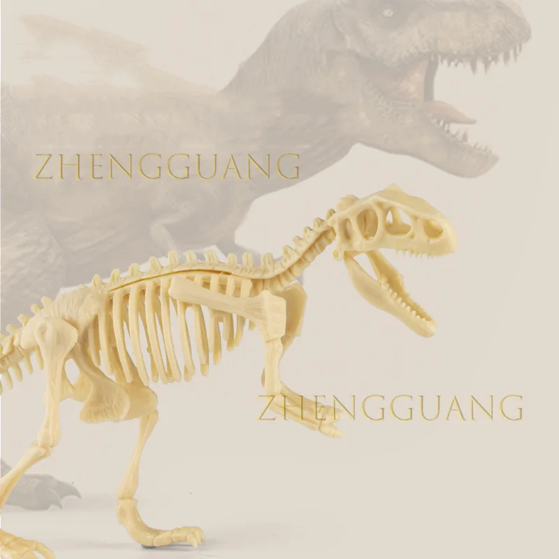 Zhengguang Dinosaur Dig Kit for Kids Dino Fossil Skeleton for Children Excavation Science Education DIY Toys
