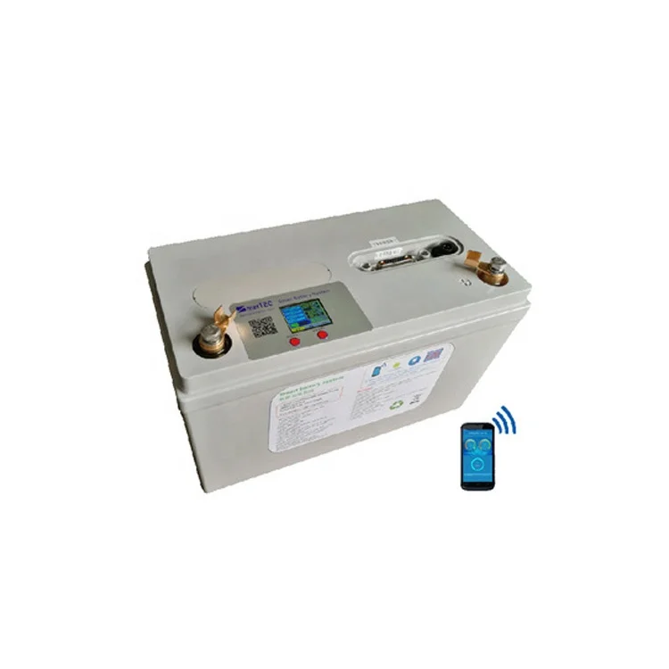 Rechargeable 24v lithium ion battery pack lifepo4 24v 100ah solar power bank 24 volt with LCD screen