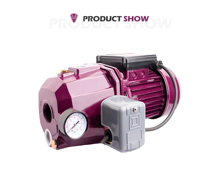 DP-750 double tube electric water jet pump for garden farm irrigation