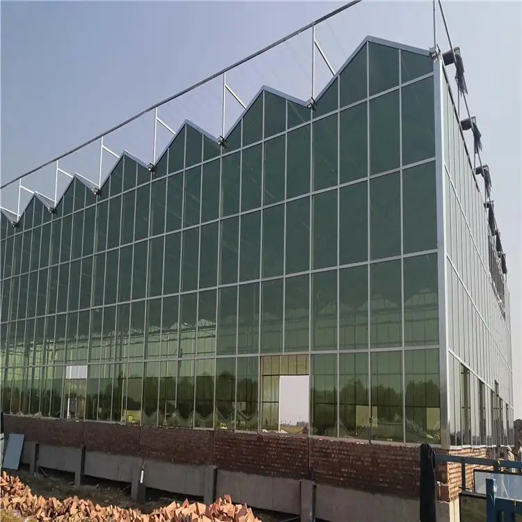 
Hot sale of high quality high-tech automation system greenhouse 