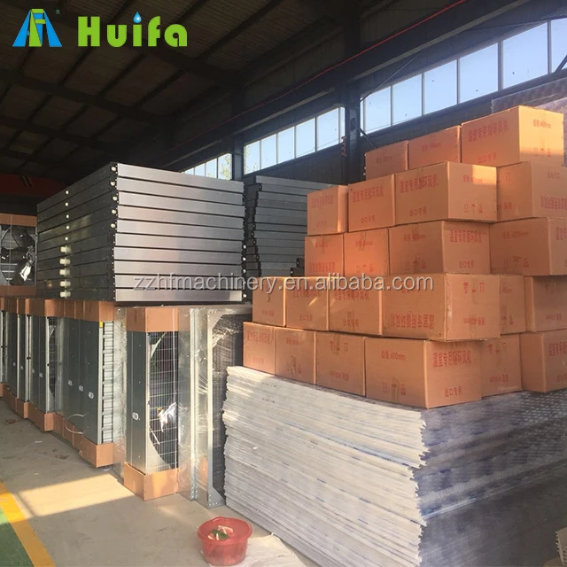 High Strength Agricultural Poly Tunnel Green Customize PE Film Large Planters Sides Ventilation with Roll up Machine 8m 3.3(M)