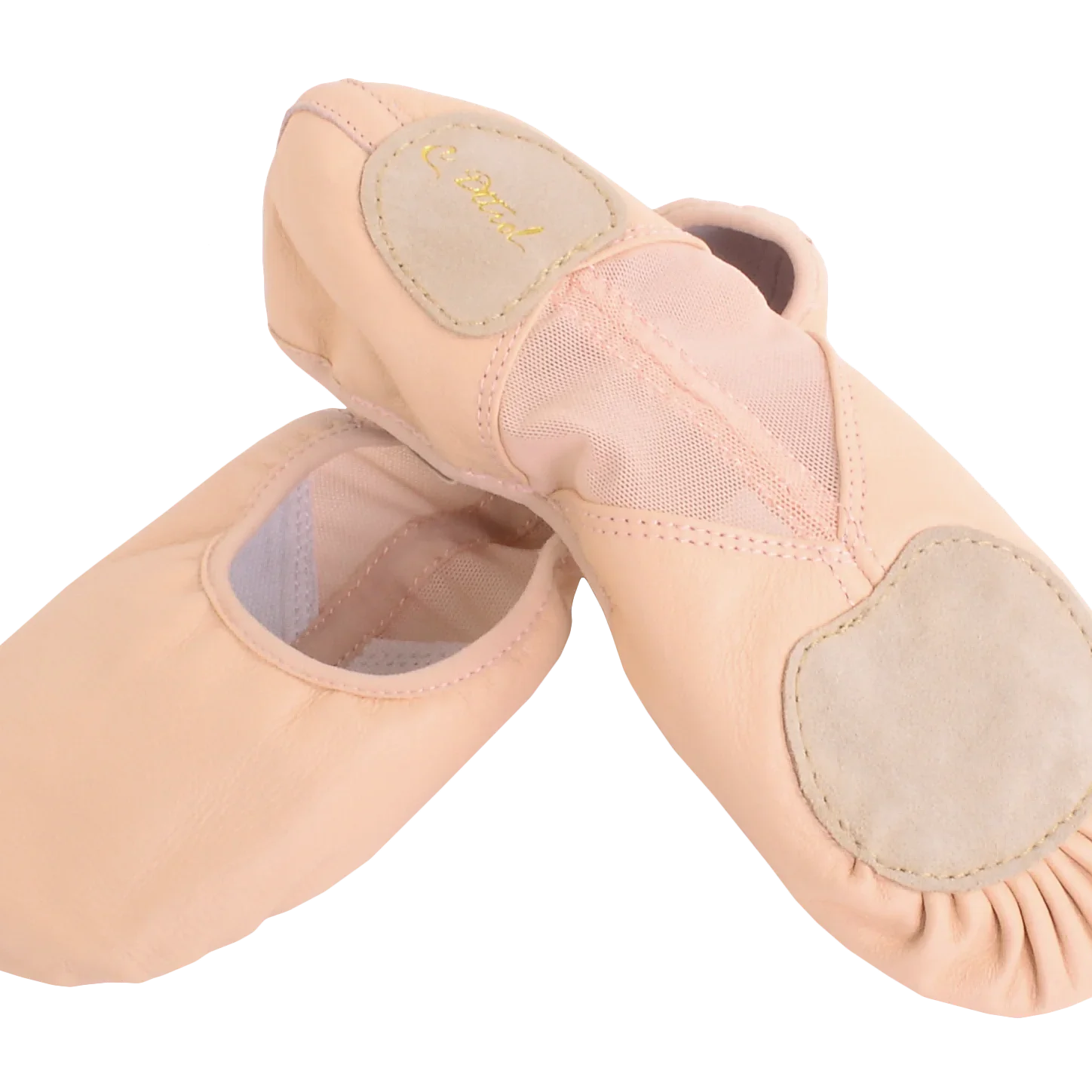 Dttrol D012002 Baili Dance Customized Pig Leather Split Sole Elastic Canvas Ballet Shoes in Ballet Dancewear Practice for Women