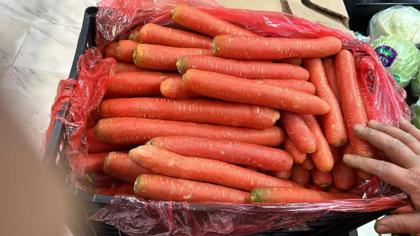 2024 new season Fresh vegetable Fruit red carrot China carrots wholesale price for fresh Indian red carrot buyer