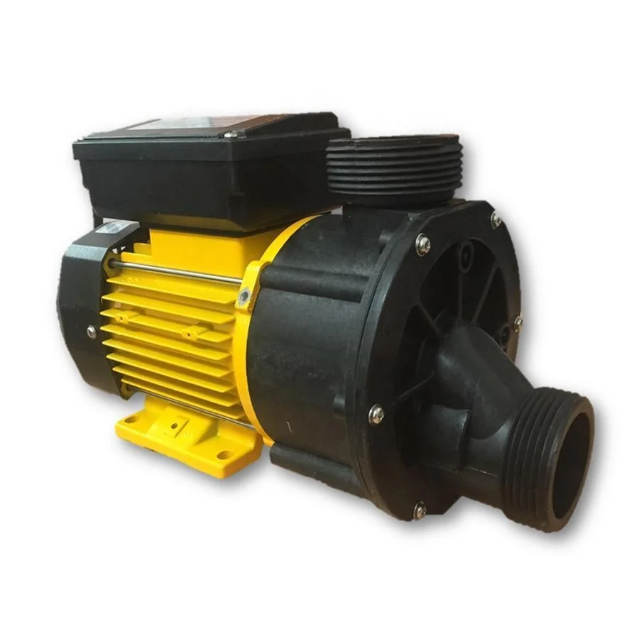 0.75KW  220V Water Pumps Aquaculture European hydro massage bath pump LX TDA-100