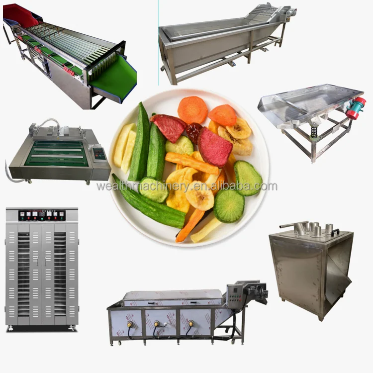 Dry fruit production line leaf persimmon Dragon fruit kiwi slice drying frozen vegetable dried fruit drying production line