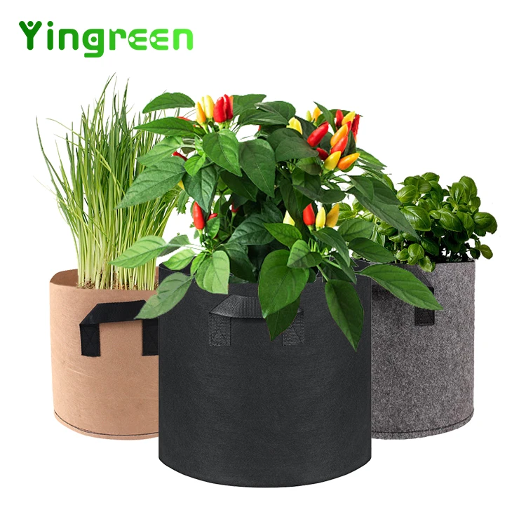 
Customized Outdoor Garden Vegetable Mushroom Round 1 3 5 7 10 15 20 30 100 Gallon Fabrics Plant Grow Bags 