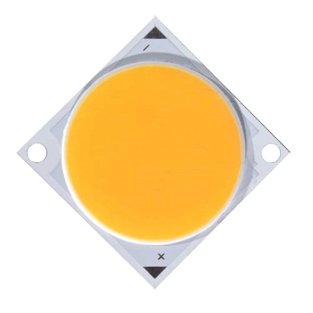 Citizen size high quality 50W  COB led chip for flood light