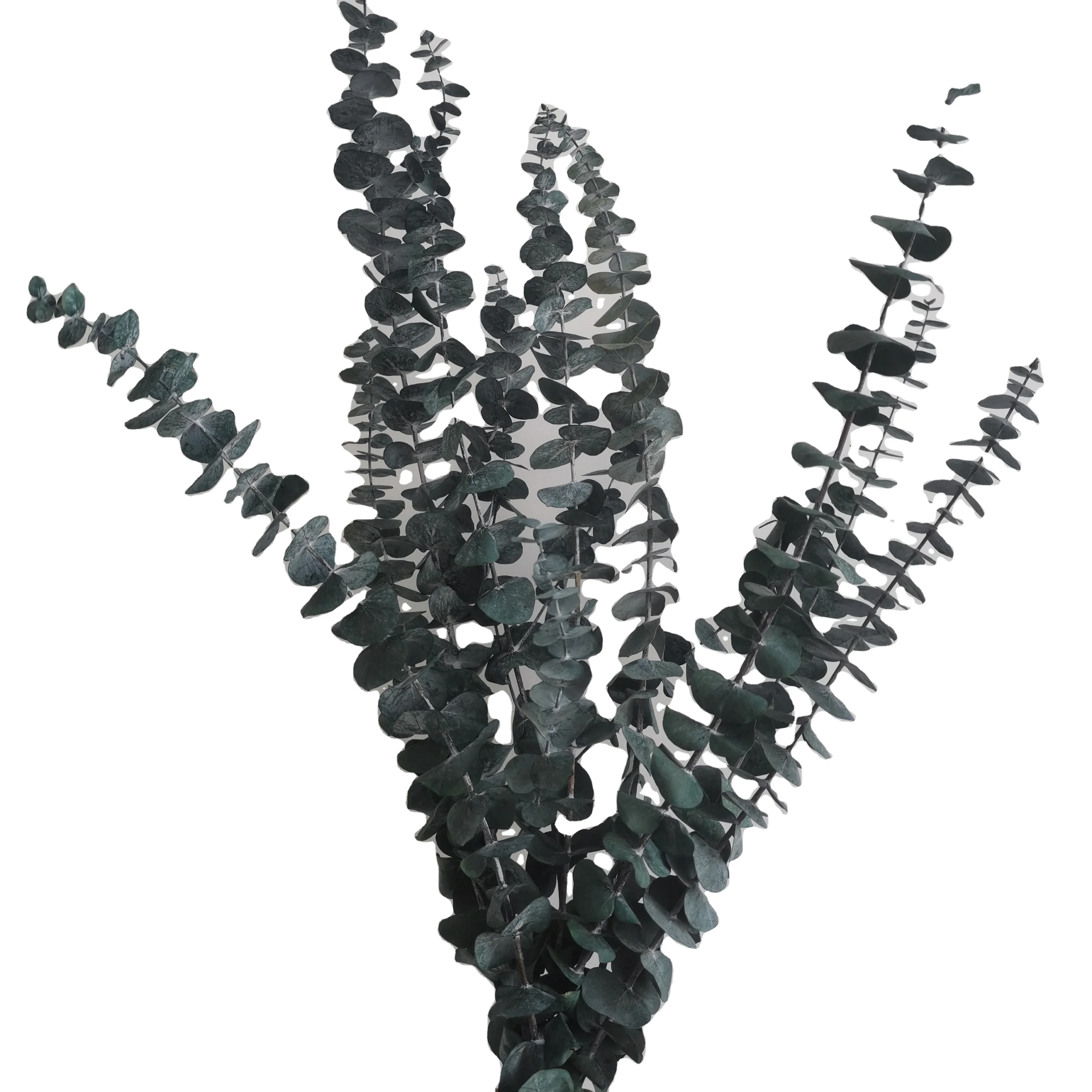 Amazon Top Seller Decoration Dried Flowers Eucalyptus leaves For Home or Weddings Decoration