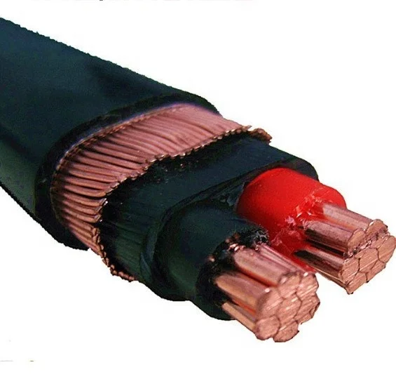 
Jinshui 0.6/1KV XLPE Insulation PVC Sheathed CCA Conductor Concentric Cable 
