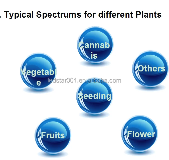 spectrumsolution