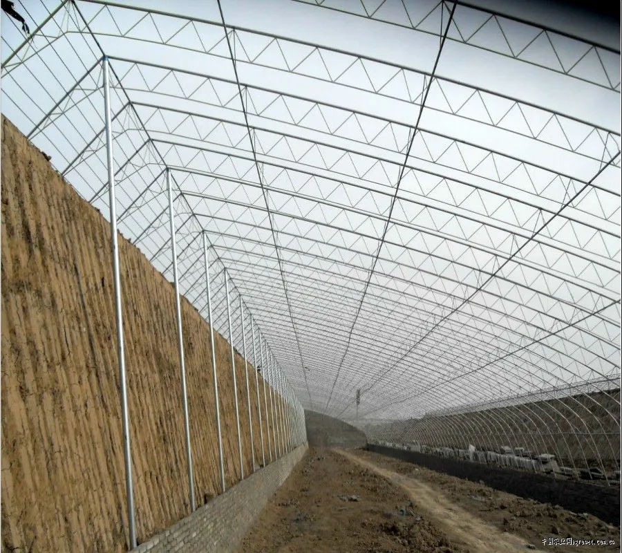 Winter Warm Soil/Brick Back Wall for Planting Tomato/Cucumber without Heating in Cold Winter