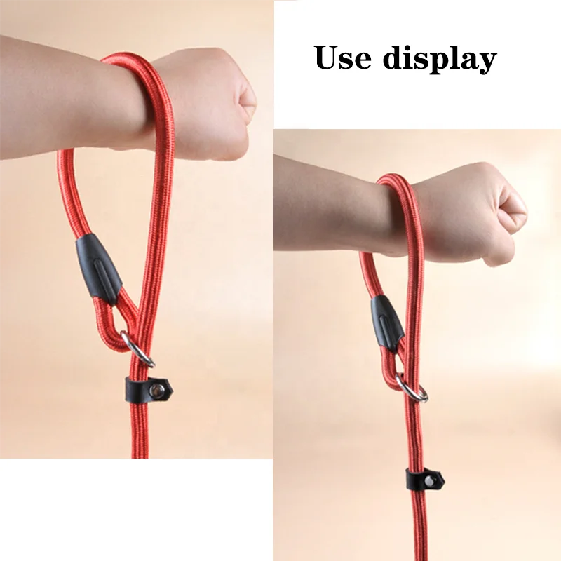Manufacturers Free Sample Durable Nylon Slip Lead Dog Leash Adjustable Loop Slip Lead Pet leash