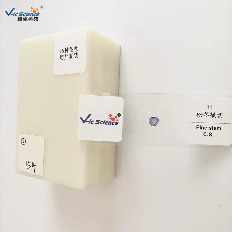 Microbiological Bacterial Specimens Slides of Biology Pathology Prepared Educational Supplies Microscope Slide Set with Plastic