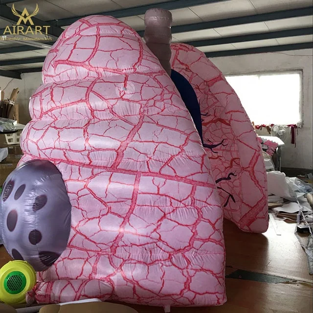 Giant PVC Inflatable Medical Lungs with Lung Tube Model