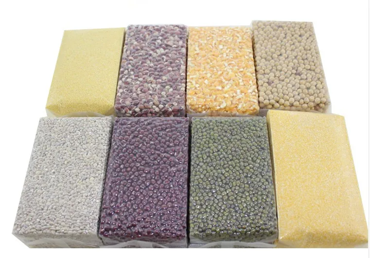 DZ 400/2SB Double Vacuum Packing Machine