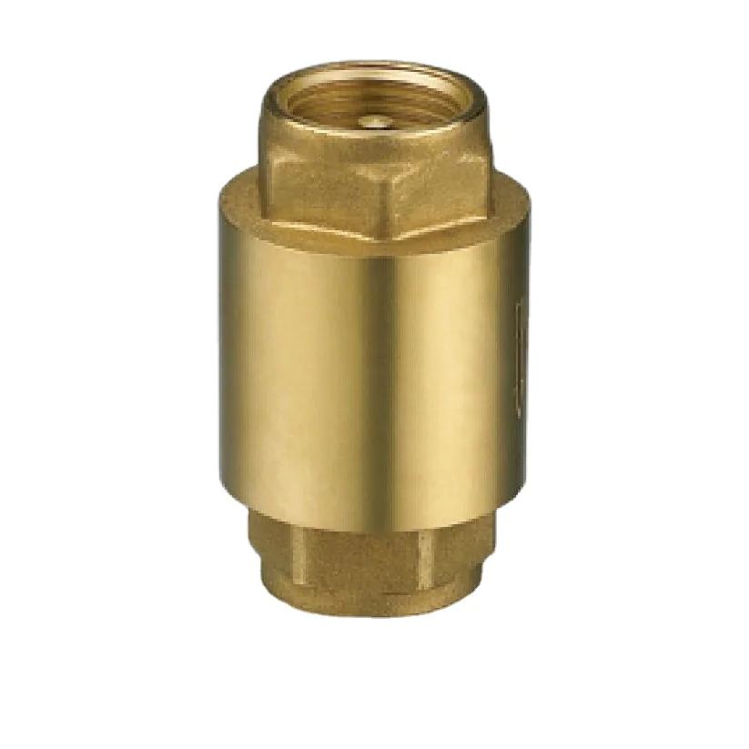 1/2-4 дюймовый водяной вертикальный пружинный клапан латунный обратный с латунным диском