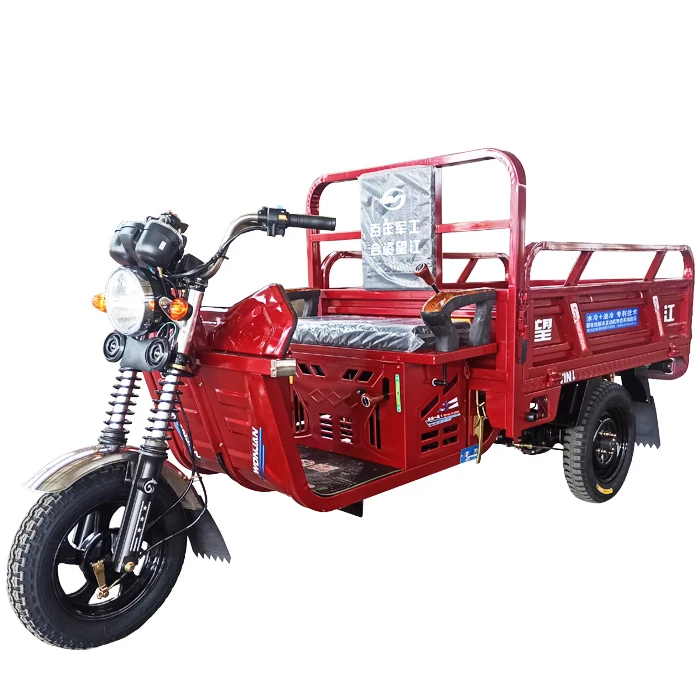 China 3 wheel cargo tricycle moto carguero Motorized tricycles motorcycle for adult