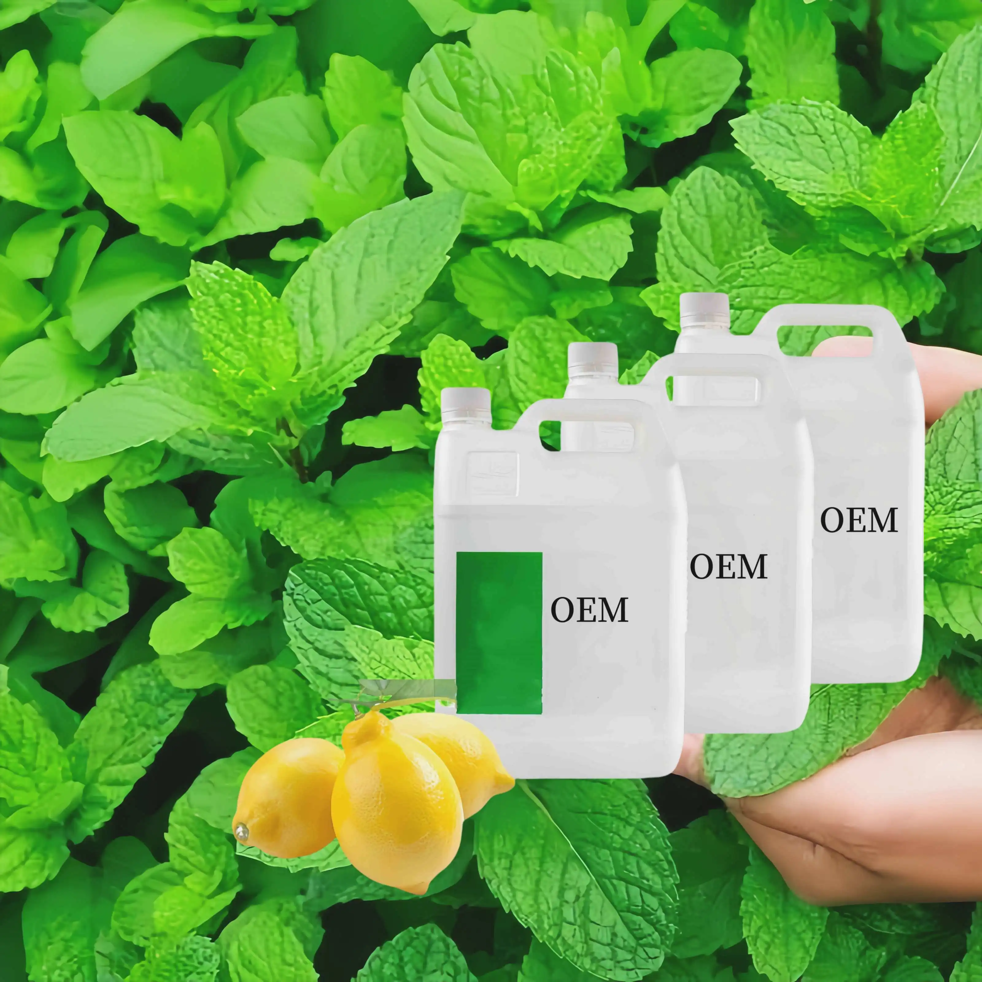 food Grade Lemon Mint Essence Super Concentrated Plant Extract Essence Synthetic Essence Spice Flavoring Agent