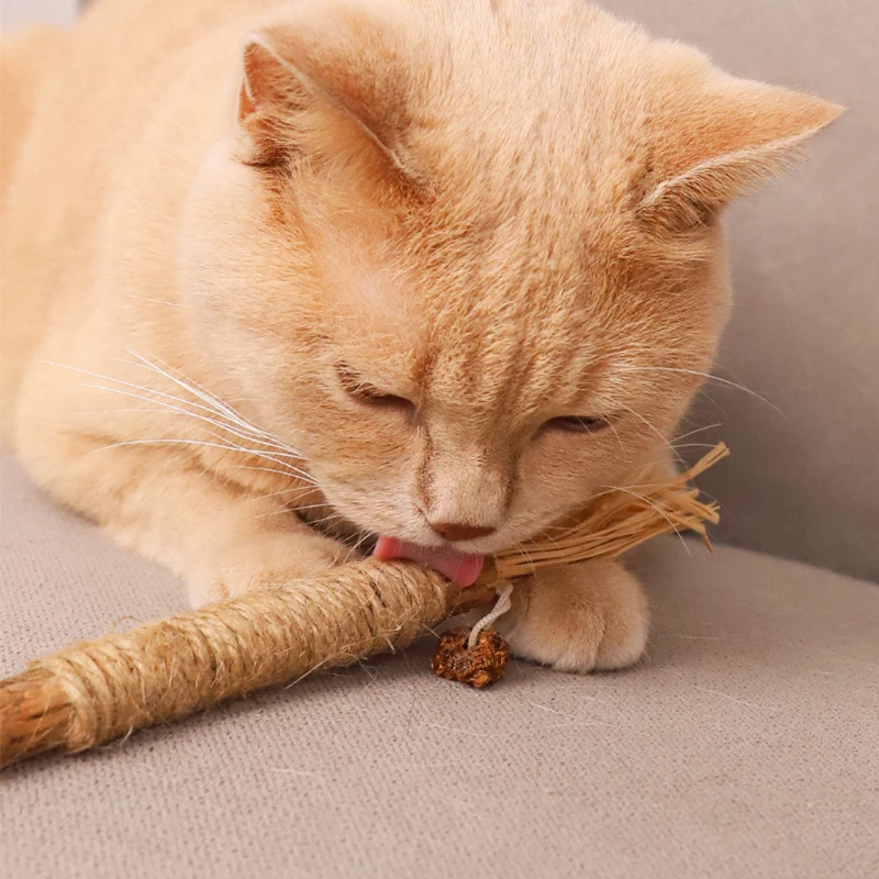 Natural Cat Chew Sticks Indoor Interactive Teething Chew Toys new cat toy grinding teeth clean teeth tartar fresh breath