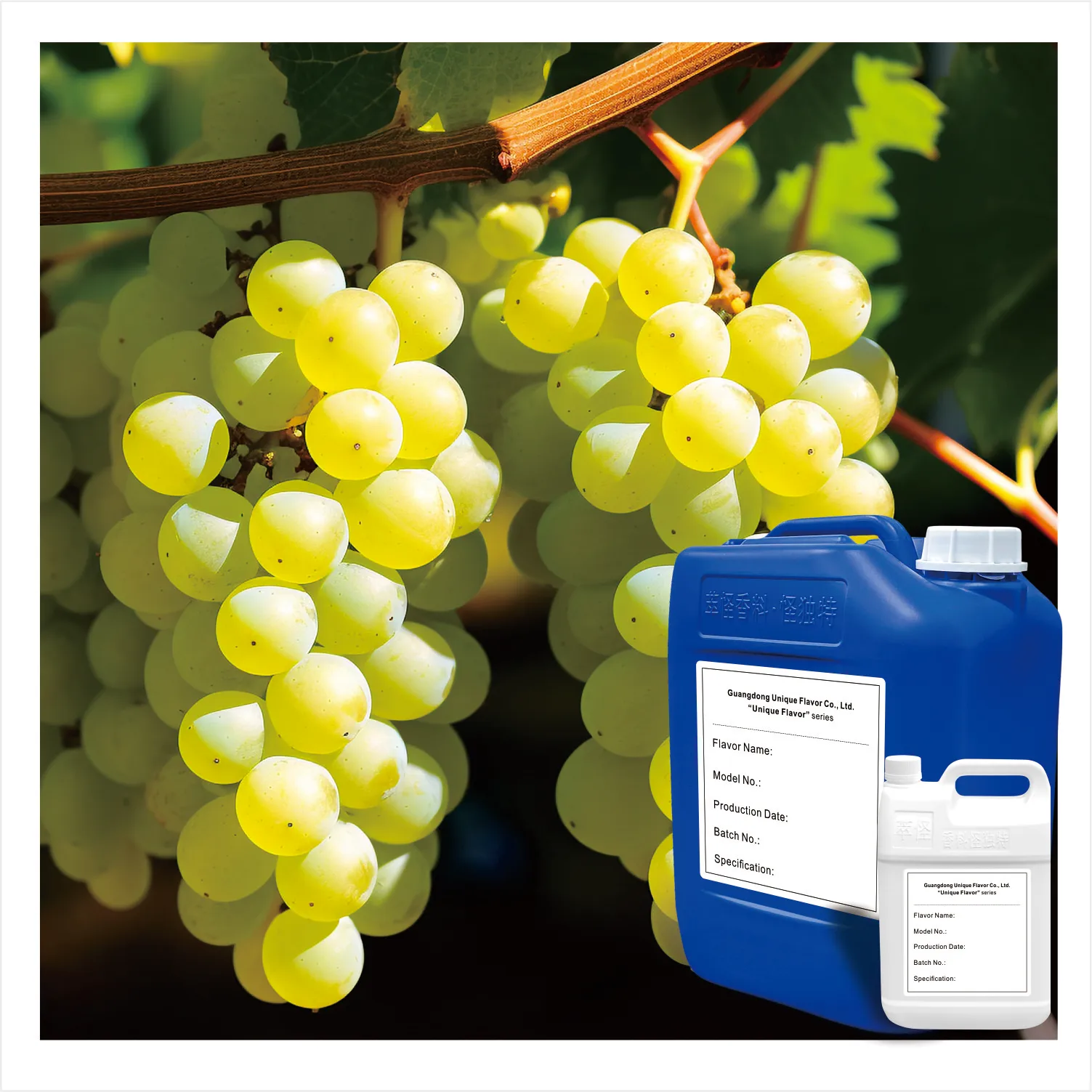 Grape flavor Green apple mulberry dairy beverage candy floral food Waterborne food flavor sample